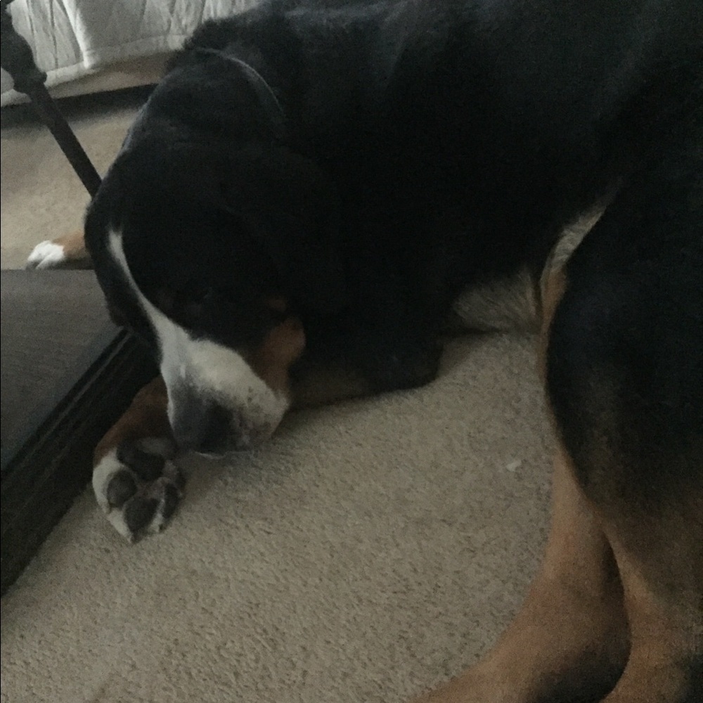 Meet your Posher, Kris